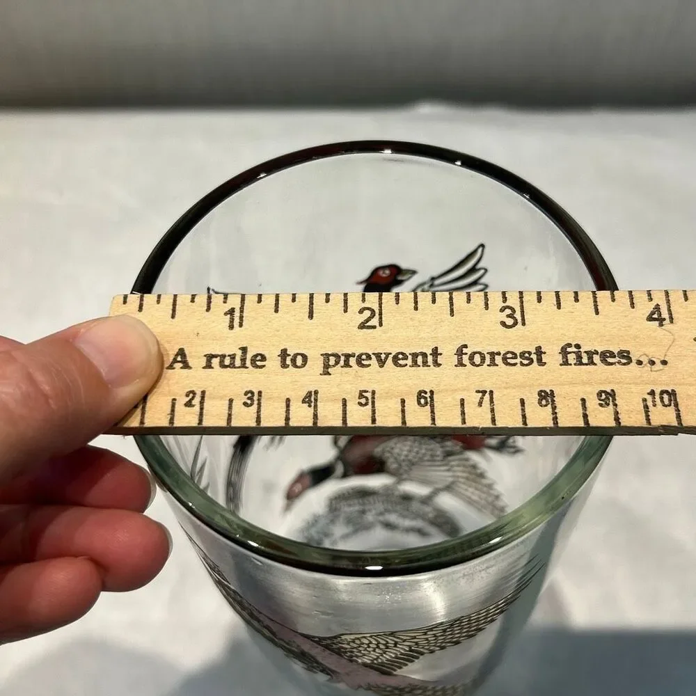 Vtg Hazel Atlas MCM Cocktail Shaker Pheasants Birds Glass 1950s Barware Metal Li